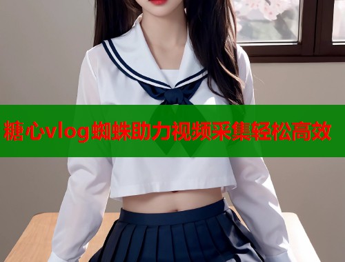 糖心vlog蜘蛛助力视频采集轻松高效