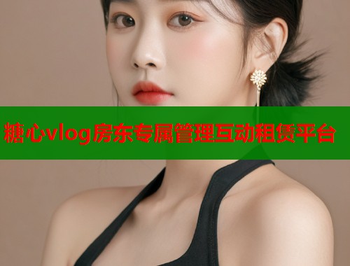 糖心vlog房东专属管理互动租赁平台